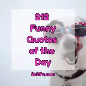 funny quotes   day selffa