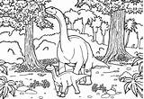 Dinosaurios Diplodocus Dinosaurier Dinosaurio Dinosaurs Colorare Dino Dinosauri Erwachsene Malbuch Deux Dinosaures Justcolor Brontosauro Infantiles Animado sketch template