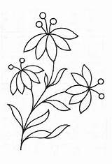 Flower Tracing Pattern Popular Coloring sketch template