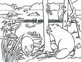 Ecosystem Coloring Pages Getdrawings Color Getcolorings sketch template