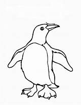 Penguin Template Coloring Color Outline King Madagascar Penguins Print Pages Printable Templates Blank Movie Sheet Twistynoodle Clipartmag Drawing Getdrawings Getcolorings sketch template