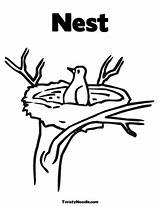 Nest sketch template