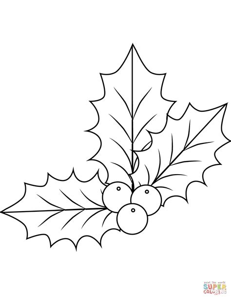 xmas holly coloring page  printable coloring pages