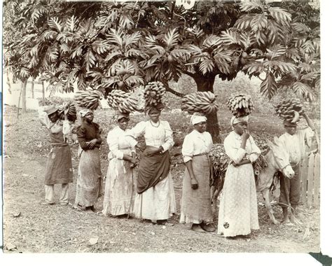 Jamaican Farmers Jamaica History Jamaica Old Jamaica