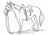 Cai Colorat Planse Desene Horses sketch template