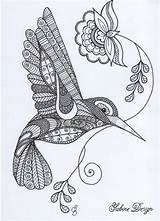 Zentangle Hummingbird Zentangles Vogels Colibri Zeichnen Zendalas Projekte Google Malvorlagen Cuadros Downloaden Uitprinten sketch template