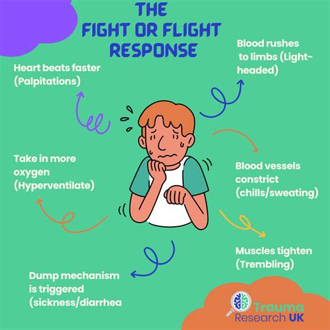 fight  flight response trauma research uk