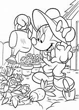 Minnie Mouse Flowers Watering Coloring Printable Pages Description sketch template