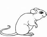Mouse Coloring Clipart Mice Pages Animals Printable Color Animal Kids Clip Colour Book Farm Drawings Drawing Cool Printables Kb Cliparts sketch template