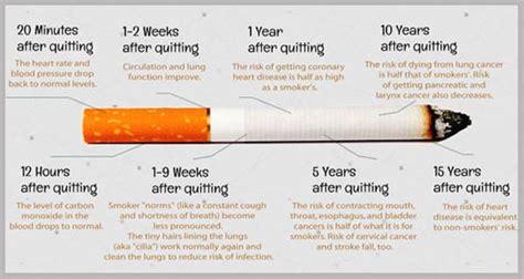 10 things that happen to your body when you stop smoking