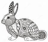 Zentangle Rabbit Vector Coloring Pages Illustration Zen Stock Conejo Animal Pattern Stylized Abstract Bunny Hand Ornate Freehand Drawn Pencil Mandala sketch template