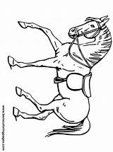 Horse Walking Coloring Handout Below Please Print Click sketch template