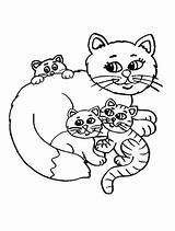 Kittens Kidsplaycolor sketch template