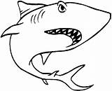 Shark Great Outline Coloring Popular Pages sketch template