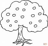 Apple Coloring Tree Pages Silhouettes Supercoloring sketch template