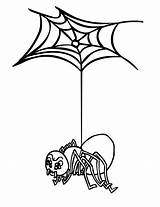 Spinne Drucken Malvorlagen Ausdrucken Spinner sketch template