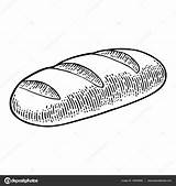 Bread Loaf Vector Illustration Drawing Drawn Vintage Hand French Bakery Sketch Engraving Stock Wheat Cut Baguette Drawings Ears Outs Depositphotos sketch template