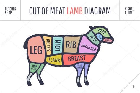 sheep cuts  meat chart      happy  advise