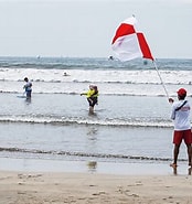海岸での旗取り に対する画像結果.サイズ: 174 x 185。ソース: www.townnews.co.jp