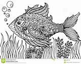 Pesce Disegnato Groviglio Stilizzato Astratto Antistress sketch template