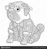 Zentangle Colouring Pug Cane Coloritura Carlino Hond Kleurende Mop Doodle sketch template
