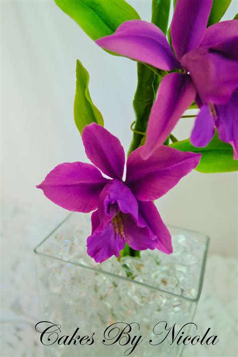 bamboo orchid cakecentralcom