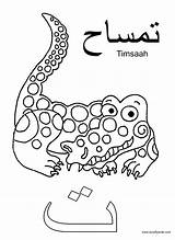 Alphabet Coloring Arabic Pages Worksheets Kids Ta Letters Worksheet Printable Letter Language Arab Crafty Colouring Color Acraftyarab Animal Activities Bubble sketch template