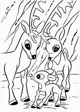Coloring Rudolph Reindeer Pages Printable Baby Nosed Red Christmas Kids Santa Book Cute Color Coloriage Print Rudolf Books Filminspector Roi sketch template