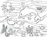 Marine Coloring Pages Life Getcolorings sketch template