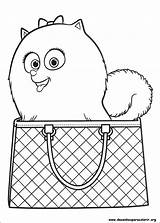 Mascotas Gidget Ausmalbilder Secreta Pintar Bichos Malvorlagen Vita Colorare Coloriage Zivot Betes Tus Tajný život Bojanke Decu Omalovánky Handbag Ljubimaca sketch template