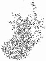 Embroidery Alice Patterns Pattern Vintage Peacocks Choose Board Hand Designs sketch template