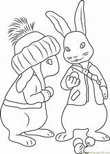 Rabbit Coloringpages101 Cottontail Institut Telematik Ideass sketch template