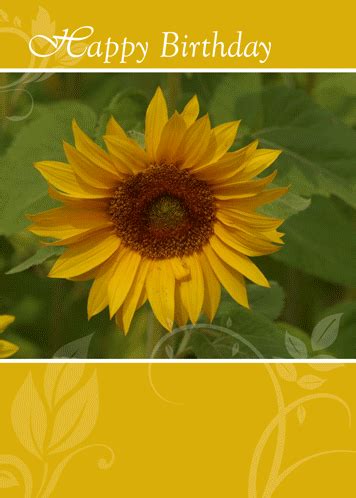 sunflower card   happy birthday  flowers ecards