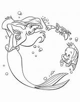 Disney Ariel Coloring Pages Sebastian Flounder Walt Characters Fanpop Princess Mermaid Little sketch template