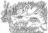 Coloriage Lac Cygne Cigni Swan Cisnes Cygnes Pintar Animaux Colorier Imagui Labudovi Coloriages Swans Colorare Crtež Atardeceres Disegno Bojanke Papan sketch template