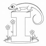 Coloring Pages Letter Animal Alphabet Letters Kids Iguana Abc Printable Worksheets Yahoo Search Preschool sketch template