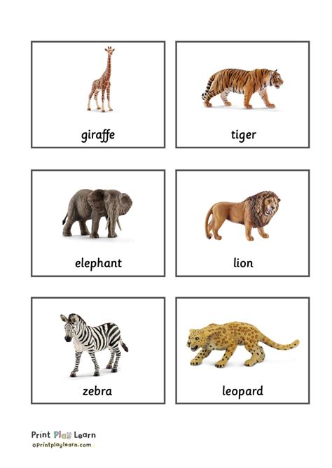 animal classification cards montessori printable teaching resources