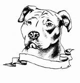 Pitbull Pit Bulls Angry Template Stencils Pitbulls Golfian Cani Tatuaggi Ouvrir Publicada sketch template