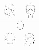 Hairdressing Cosmetology Haircut Drawing Coiffure Friseur Hairbrained Showing Hairdresser Hairstylist sketch template