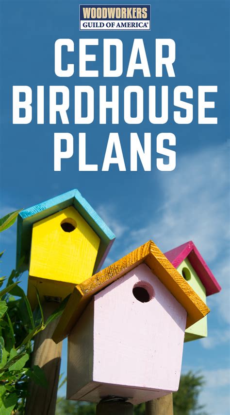 diy cedar birdhouse plans   build  cedar birdhouse video bird houses beginner