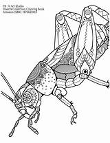 Imagine Kleurplaten Insects sketch template