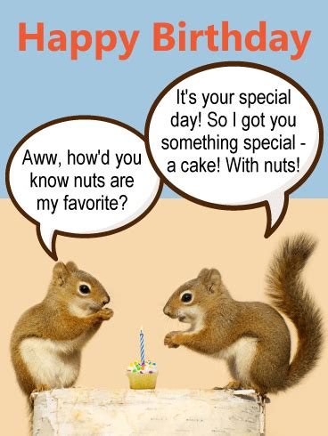 adorable squirrel birthday card birthday greeting cards  davia