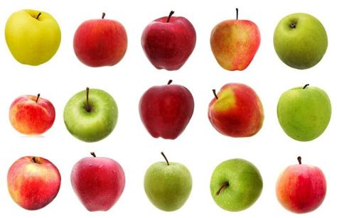 The Top 10 Apple Varieties Gardens Nursery