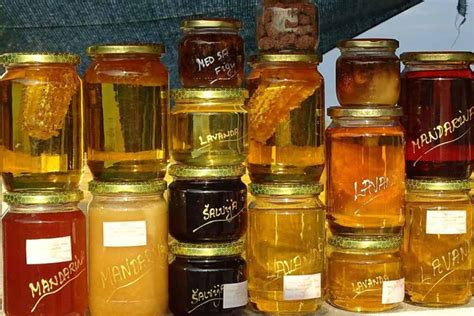 koje sve vrste meda poznajemo agrosavjet
