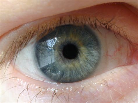 om te zien  iemands ogen blauw  bruin zijn  kijken naar dna genoeg nrc