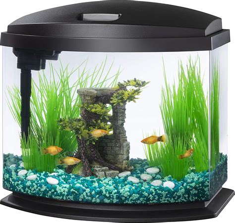 small fish tanks tiny options reviewed