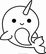 Narwhal Coloring sketch template