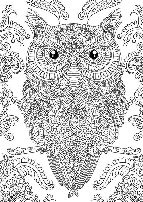 owl coloring pages  adults owl coloring pages abstract coloring