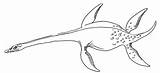 Dinosaur Drawing Dinosaurs Flying Line Drawings Prehistoric Marine Reptiles Everythingdinosaur Mesozoic Dino Animal Fossil Plesiosaurus Paintingvalley Archives Plesiosaur Agile Underwater sketch template