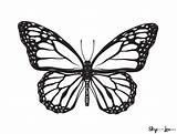 Monarch Skiptomylou Henna Lou Caterpillar sketch template